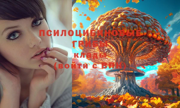 СК Новокубанск