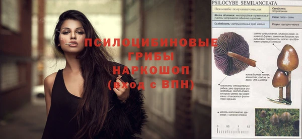 меф Новодвинск