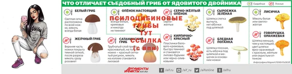 гидра Нязепетровск