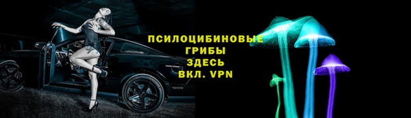 гидра Нязепетровск