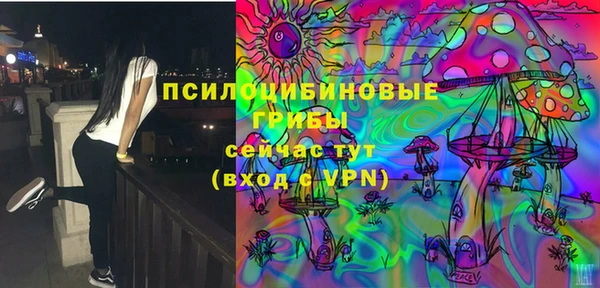 меф Новодвинск