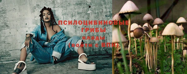 меф Новодвинск