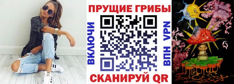 мега зеркало  Киселёвск  Псилоцибиновые грибы Psilocybe 